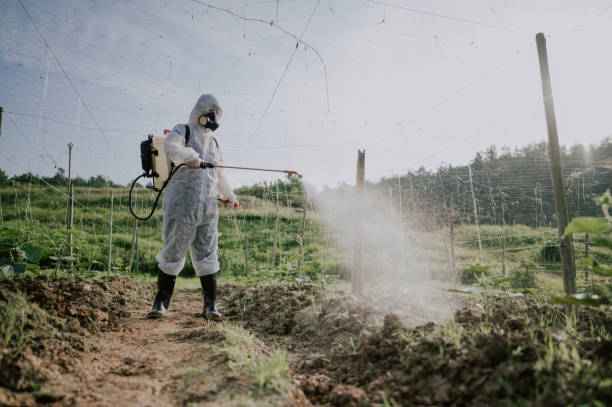 Best Commercial Pest Control Services  in Fremont, NC
