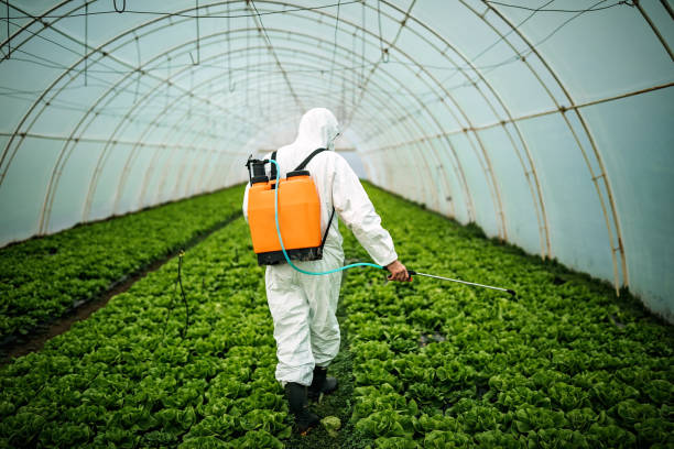 Best Pest Control for Businesses  in Fremont, NC
