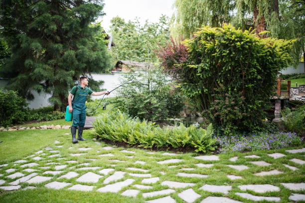 Best Best Pest Control Companies  in Fremont, NC