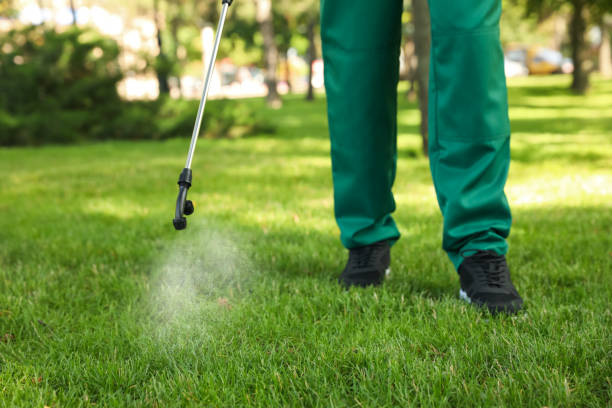 Best Best Pest Control Companies  in Fremont, NC