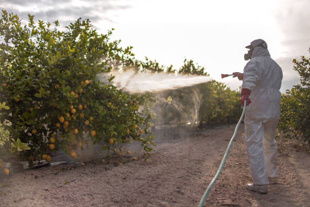 Best Mosquito Control Services  in Fremont, NC