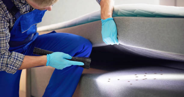 Best Pest Control Near Me  in Fremont, NC