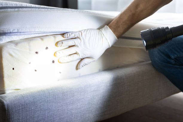 Best Commercial Pest Control Services  in Fremont, NC