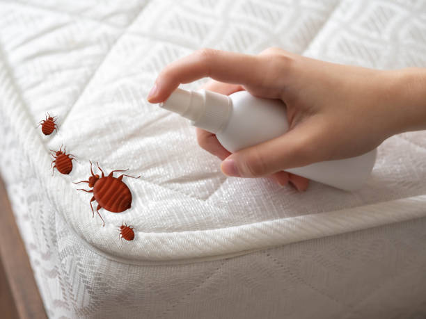 Best Cockroach Control Services  in Fremont, NC